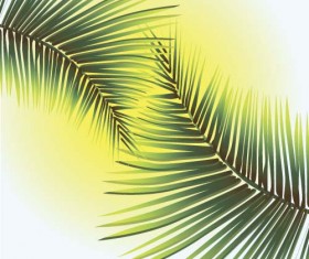 Green palm leaves backgrounds vector 04