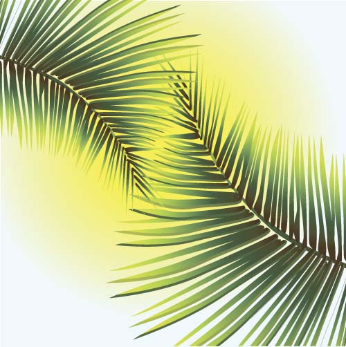 Green palm leaves backgrounds vector 04