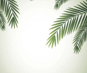 Green palm leaves backgrounds vector 06