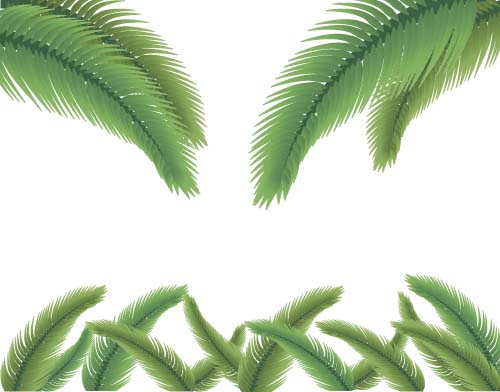 Green palm leaves backgrounds vector 08