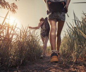 Hikers with backpack Stock Photo 05
