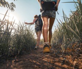 Hikers with backpack Stock Photo 09