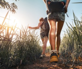 Hikers with backpack Stock Photo 11