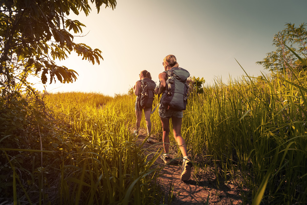 Hikers with backpack Stock Photo 14