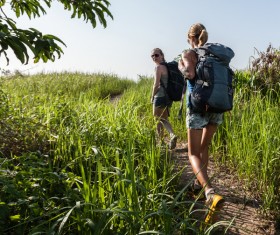 Hikers with backpack Stock Photo 17