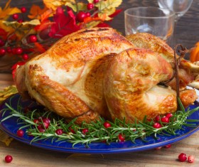Holly decorated with delicious fruit turkey Stock Photo