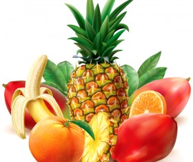 Juicy tropical fruit vector