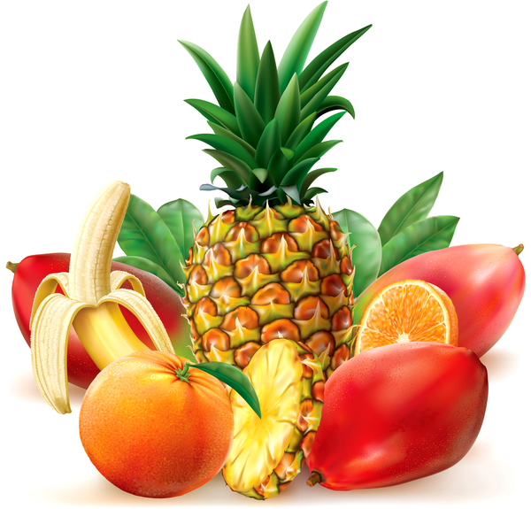 Juicy tropical fruit vector