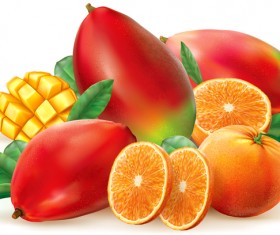 Orange and mango vector