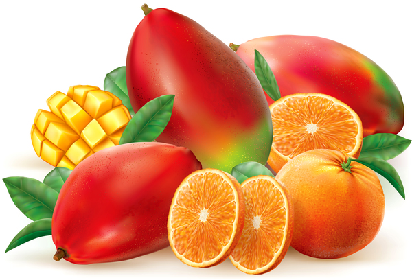Orange and mango vector