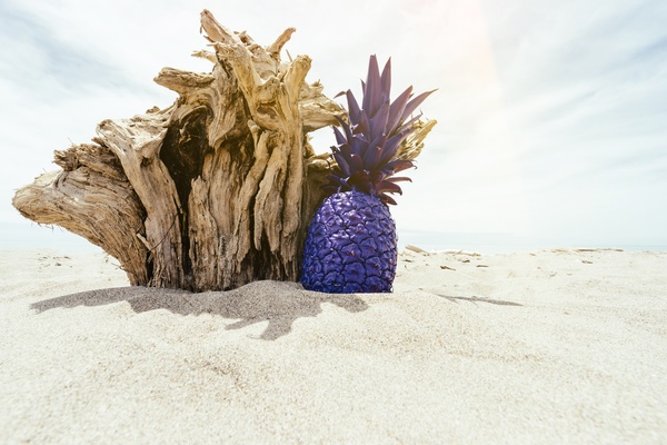 Pineapples-Desert dead tree stump pineapple