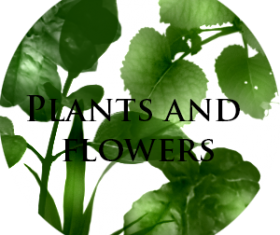 Plants and flower photoshop brushes