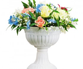 Colorful flowers Stock Photo