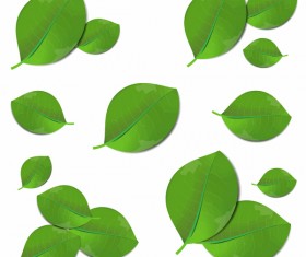 Realistic green leaves vector illustration