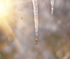 Sun shining icicles Stock Photo 02