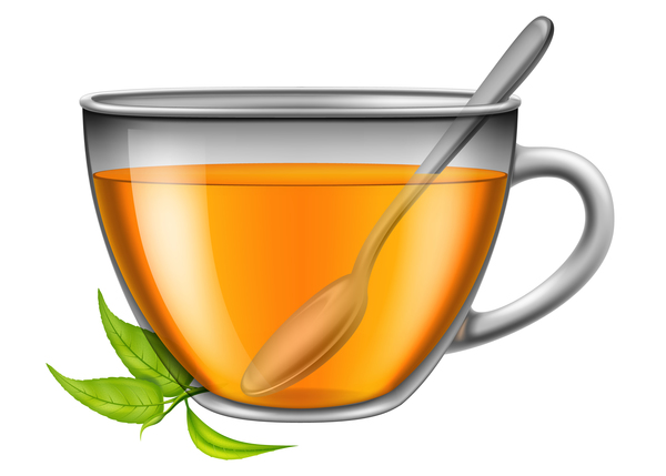 Tea and leaf with glass cup vector