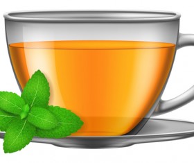 Tea mint with glass cup vector
