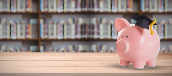 The Little Pig with a Dr. Hat and the Library Stock Photo