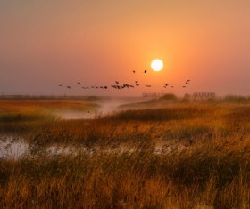 The sunrise of Lake Dali HD picture