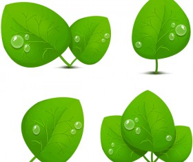 Transparent water drop with green leaves vector 01