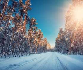 Winter sun Beautiful snow scene Stock Photo