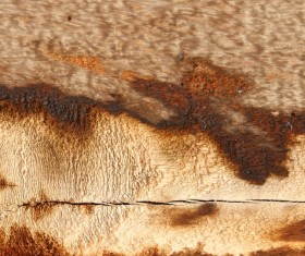 Wood Texture Background Stock Photo 01