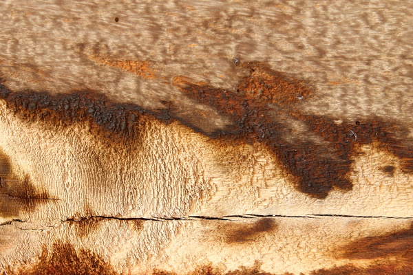 Wood Texture Background Stock Photo 01