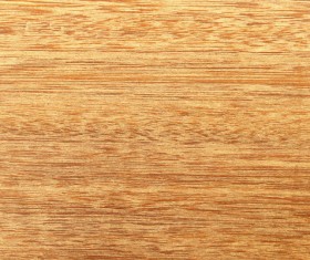 Wood Texture Background Stock Photo 05