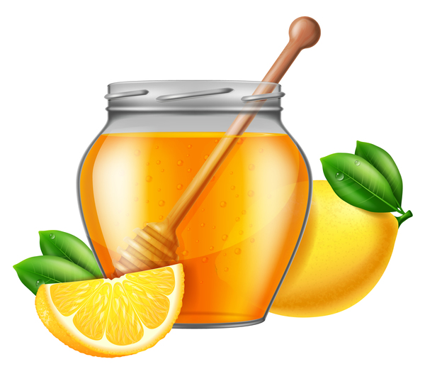 honey with lemon and glass jar vector