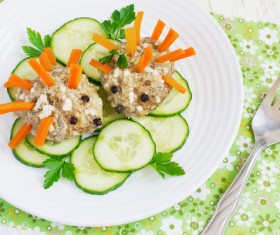 All kinds of animal food decorative surface HD picture 07