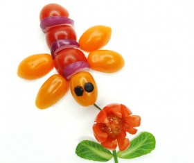 All kinds of animal food decorative surface HD picture 10