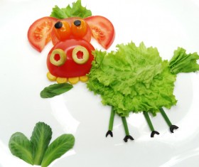 All kinds of animal food decorative surface HD picture 11
