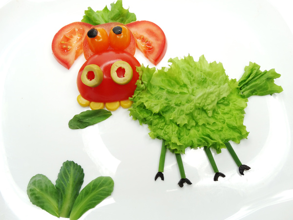 All kinds of animal food decorative surface HD picture 11