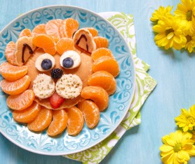 All kinds of animal food decorative surface HD picture 14