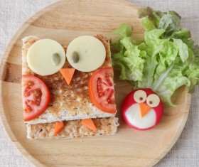 All kinds of animal food decorative surface HD picture 17