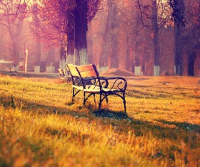 Autumn park landscape Stock Photo