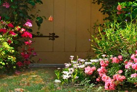 Beautiful garden banners HD pictures