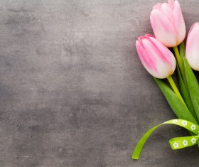 Beautiful white flower HD picture