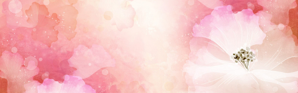 Blooming lotus banners HD pictures