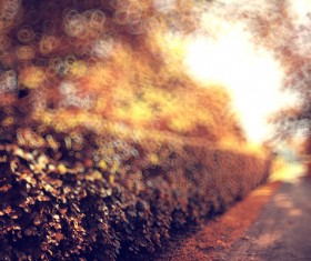 Blurred autumn scenery Stock Photo