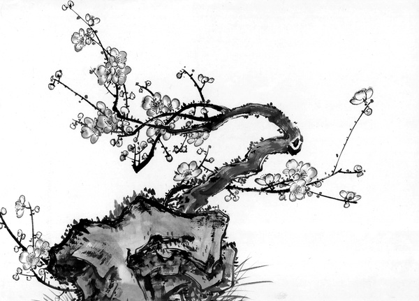 Chinese ink proud of Mei HD picture