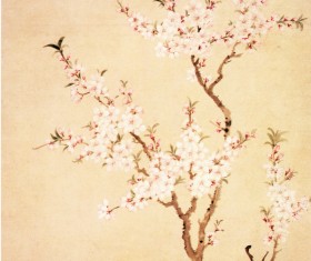 Chinese peach map HD picture