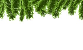 Christmas pine branches borders decor vector 02