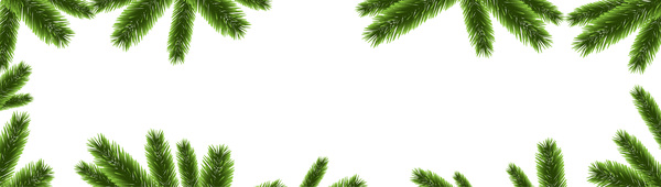 Christmas pine branches frame decor vector 02