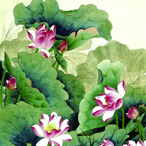 Color lotus ink painting HD picture