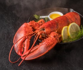 Delicious lobster with lemon spices Stock Photo 01