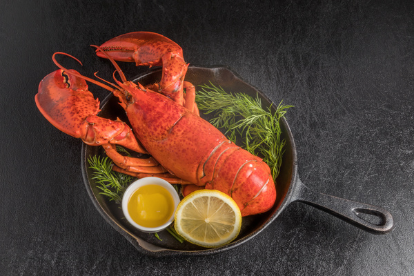 Delicious lobster with lemon spices Stock Photo 04