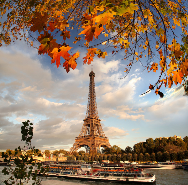 Eiffel Tower with autumn leaves in Paris Stock Photo 02