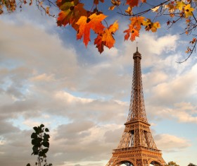 Eiffel Tower with autumn leaves in Paris Stock Photo 03