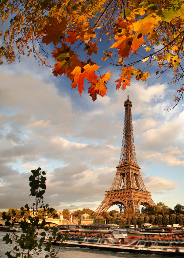 Eiffel Tower with autumn leaves in Paris Stock Photo 03